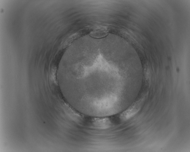 X0000073720185200608241241