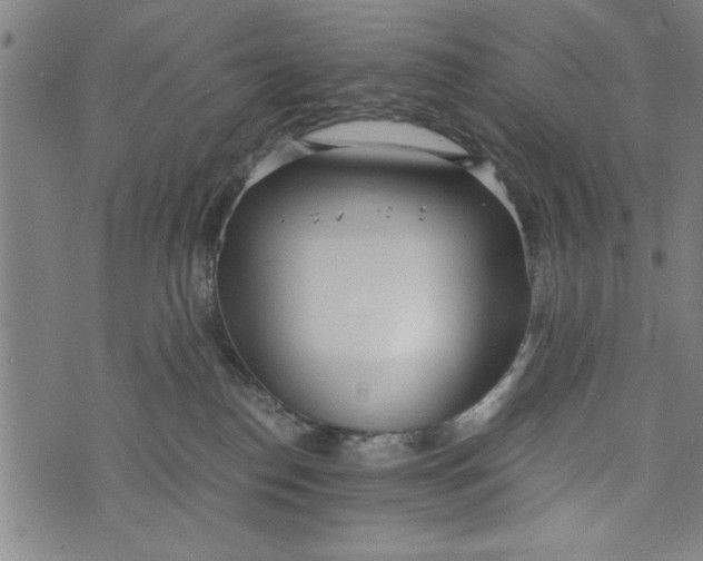 X0000073720186200608241241