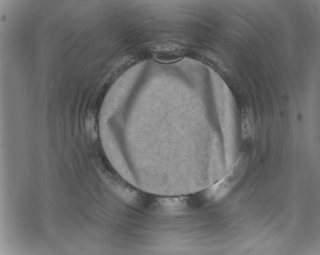 X0000073720187200608241241