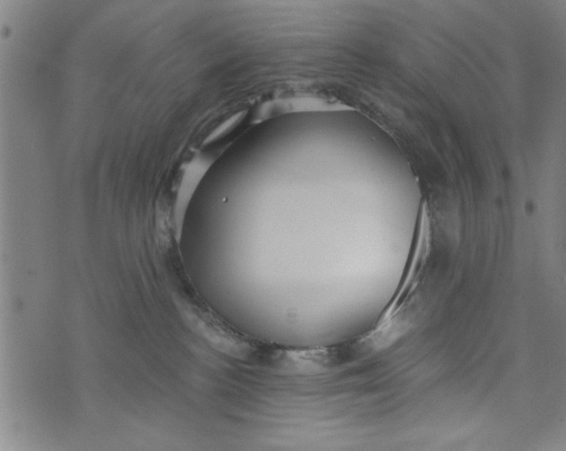 X0000073720188200608241241