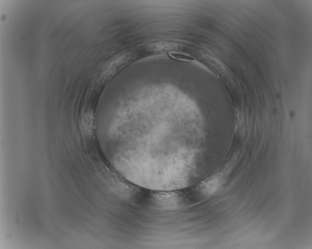 X0000073720189200608241241