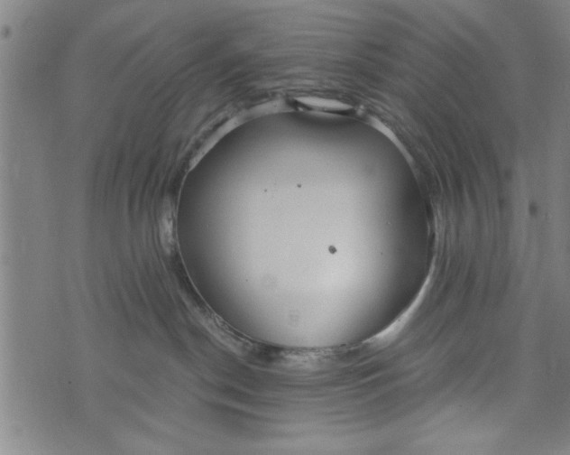 X0000073720190200608241241