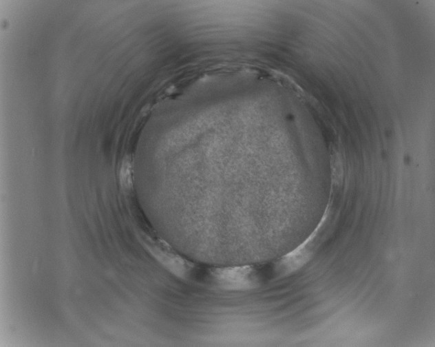 X0000073720191200608241241