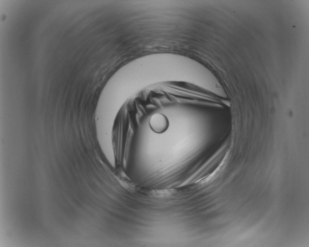 X0000073720192200608241241