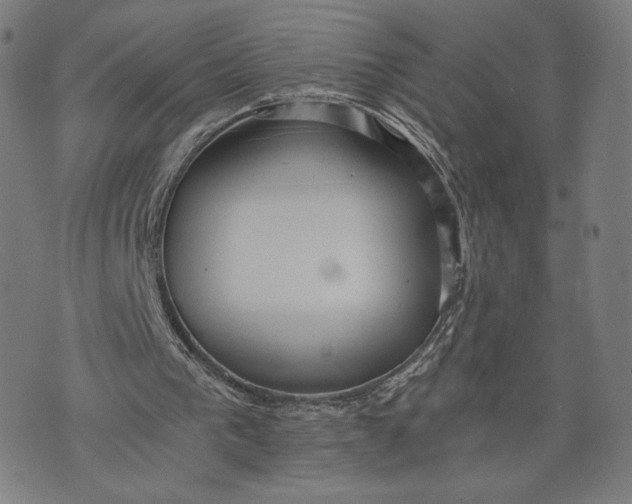 X0000073720193200608241240