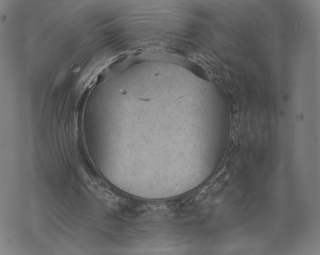 X0000073720194200608241240