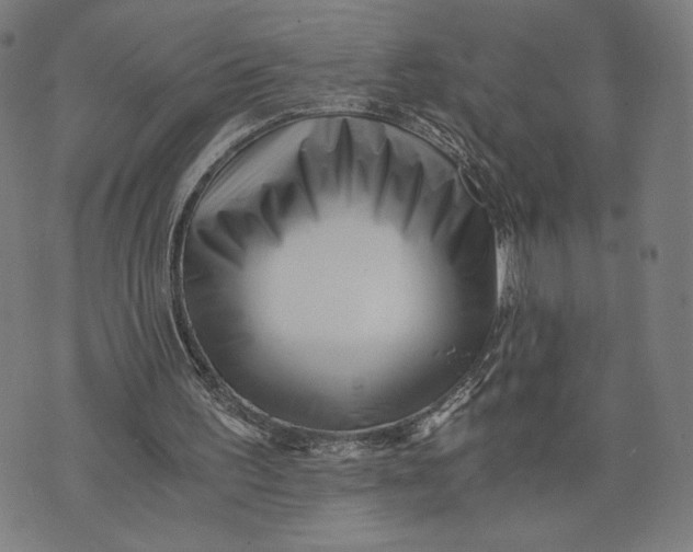 X0000073720195200608241240