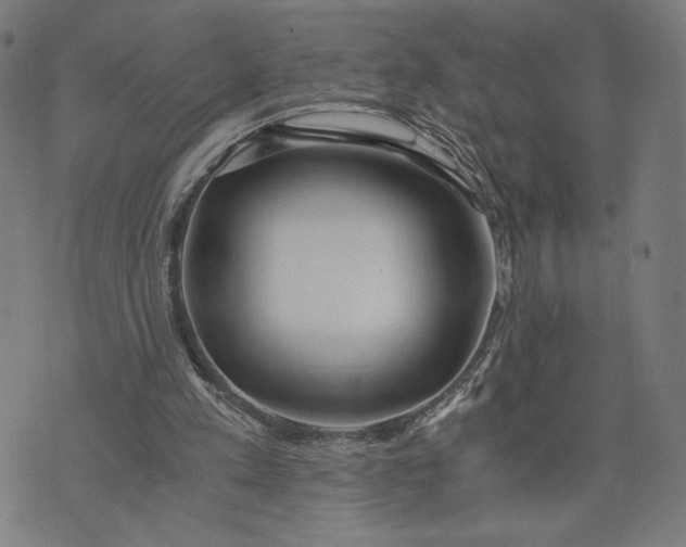 X0000073720197200608241240