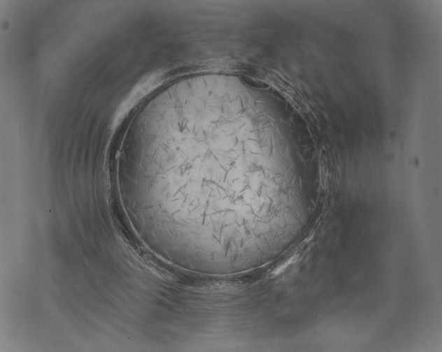 X0000073720198200608241240