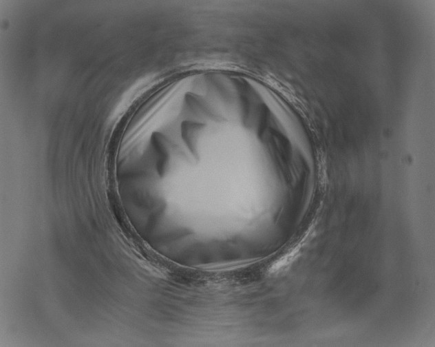 X0000073720199200608241240