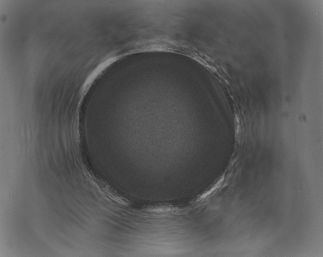 X0000073720200200608241240