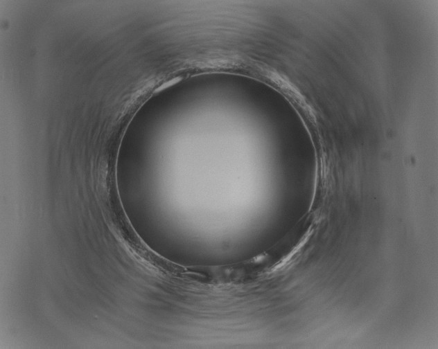 X0000073720201200608241240