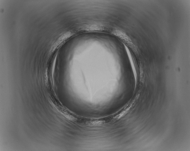 X0000073720202200608241240