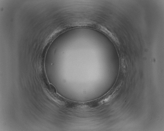 X0000073720203200608241240