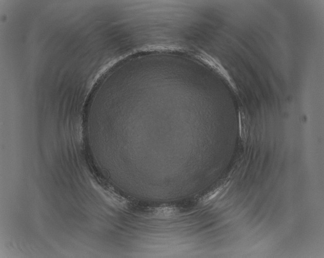 X0000073720204200608241240