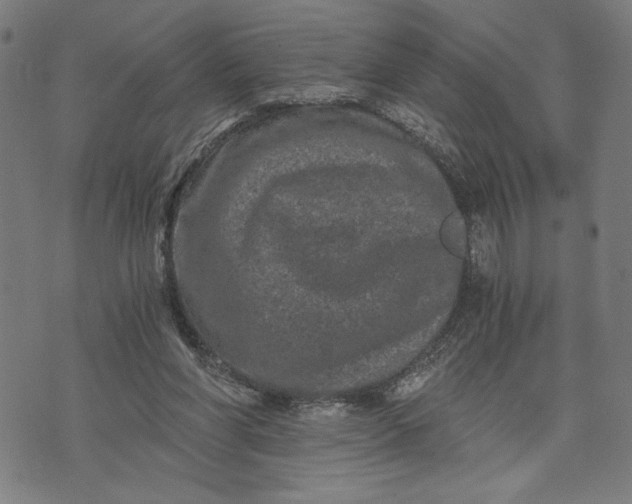 X0000073720206200608241240