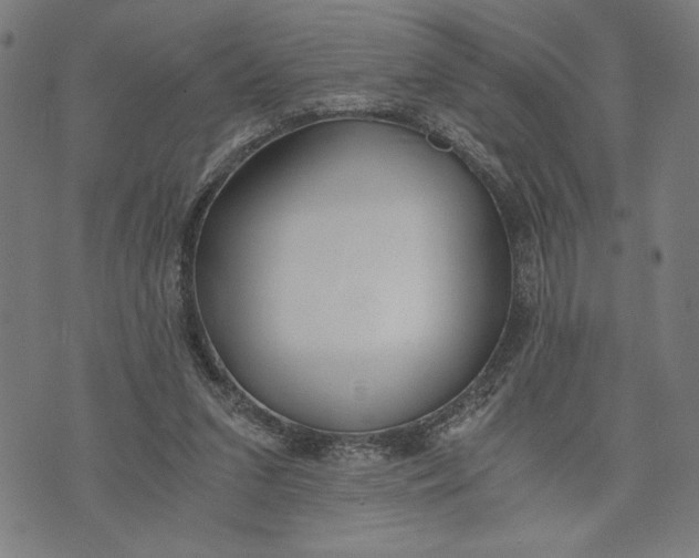 X0000073720207200608241240