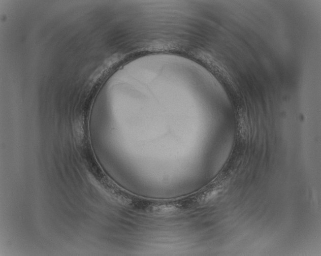 X0000073720208200608241240