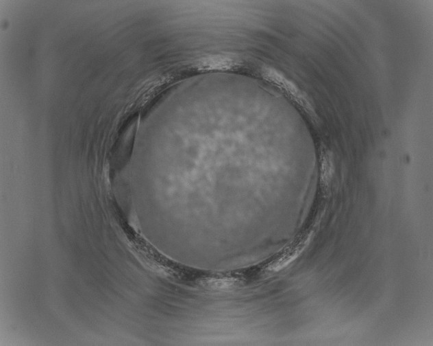 X0000073720209200608241240