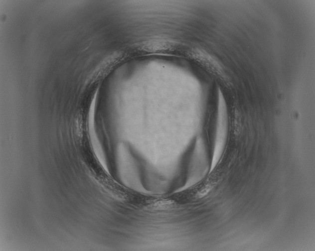 X0000073720210200608241240