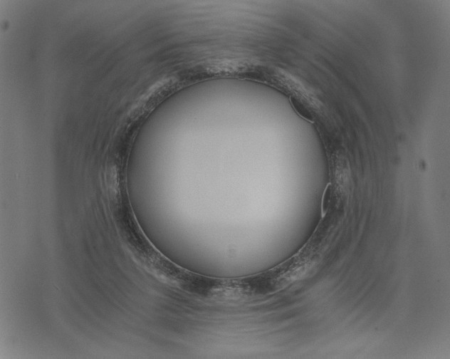 X0000073720211200608241240