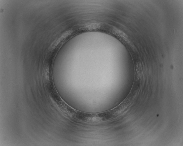 X0000073720212200608241240