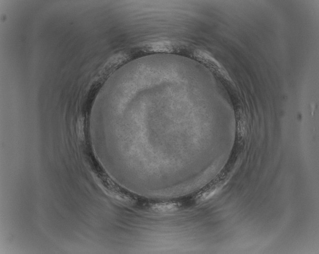 X0000073720213200608241240