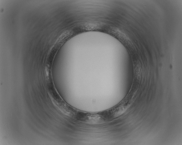 X0000073720214200608241240