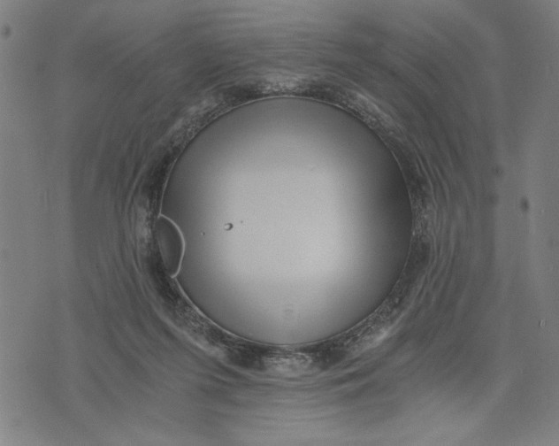 X0000073720215200608241240