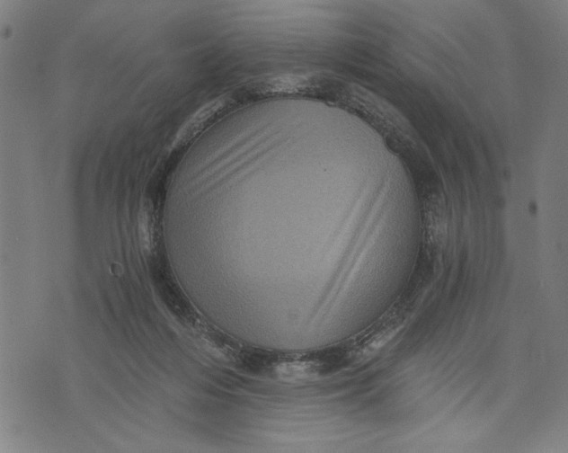 X0000073720216200608241240