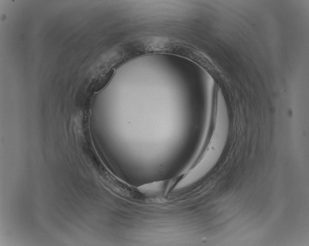 X0000073720217200608241240