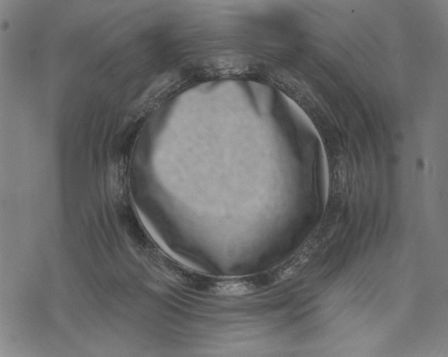 X0000073720218200608241240