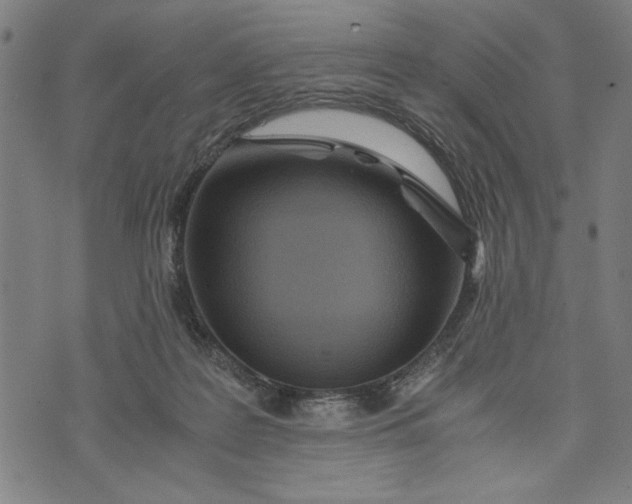 X0000073720219200608241240