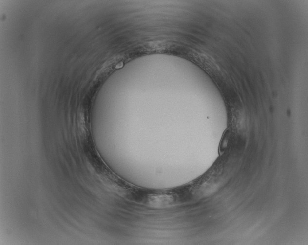 X0000073720220200608241240