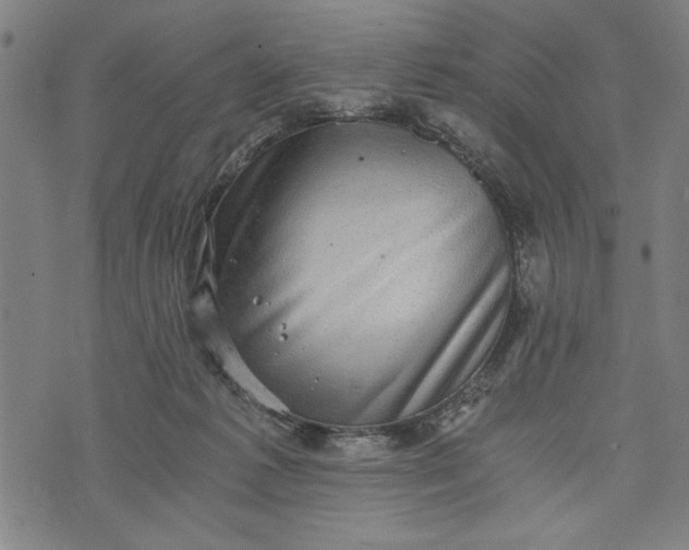 X0000073720221200608241240