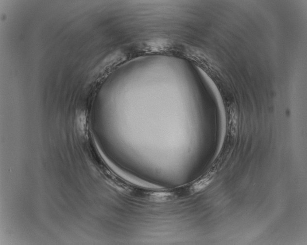 X0000073720222200608241240