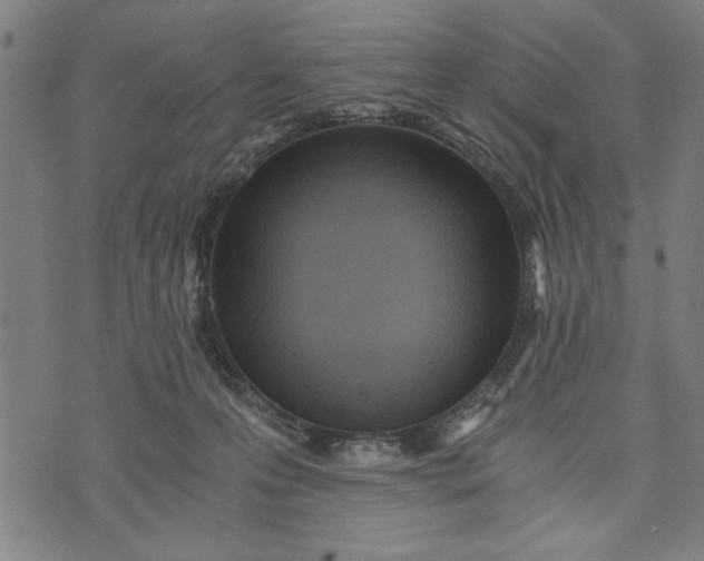 X0000073720223200608241240