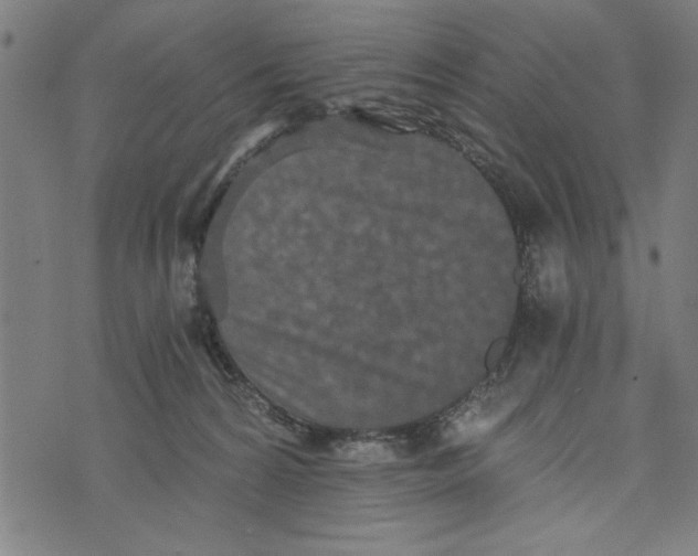 X0000073720224200608241240