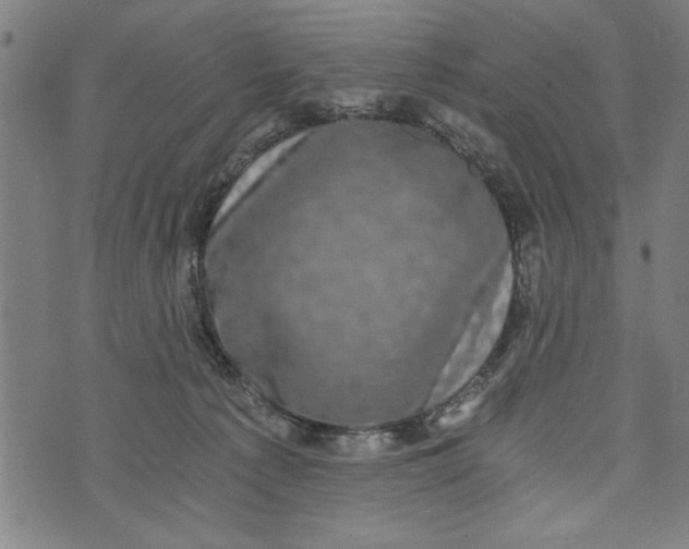 X0000073720225200608241240