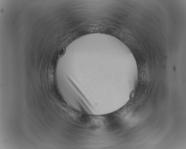 X0000073720226200608241240