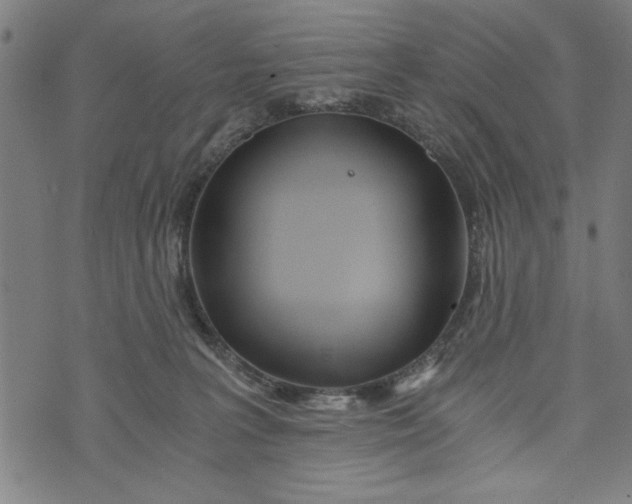 X0000073720227200608241240