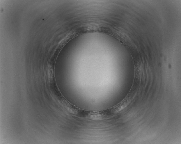 X0000073720228200608241240