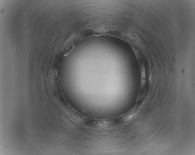 X0000073720229200608241240