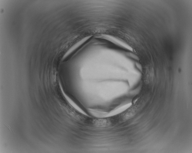 X0000073720230200608241240