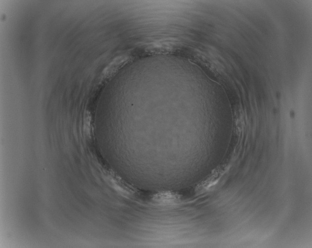 X0000073720231200608241240