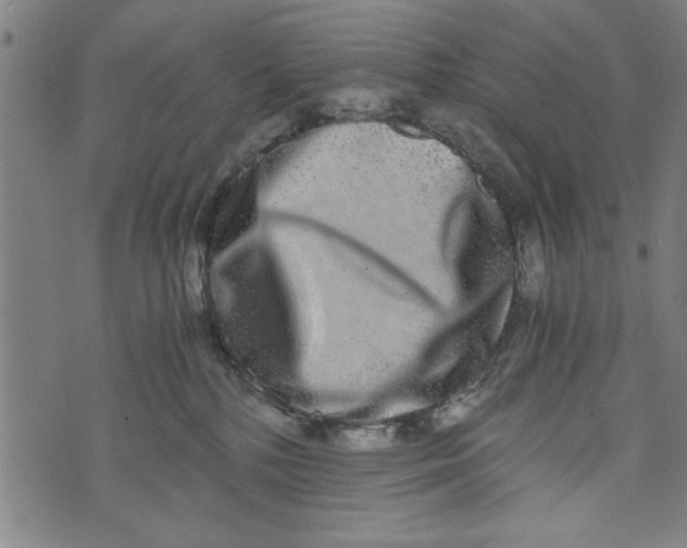 X0000073720232200608241240