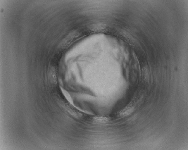 X0000073720234200608241240