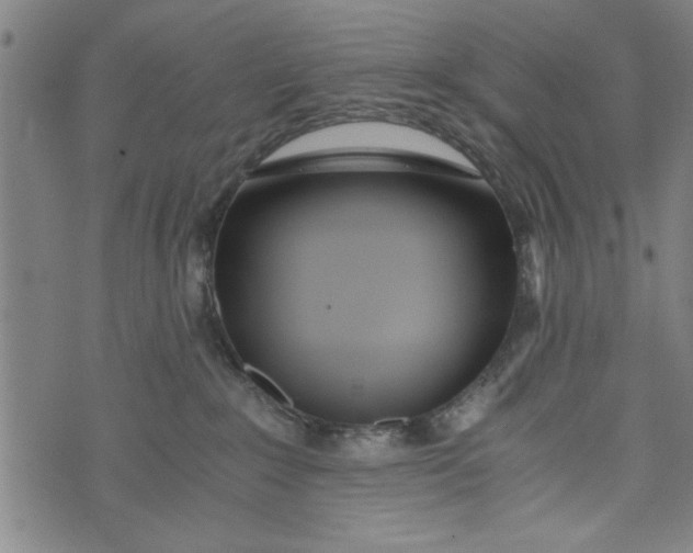 X0000073720235200608241240