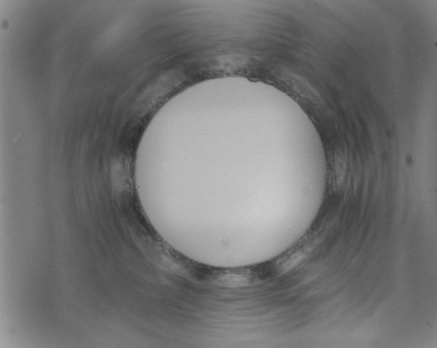 X0000073720236200608241240