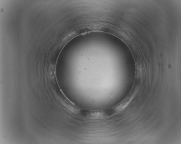 X0000073720237200608241240